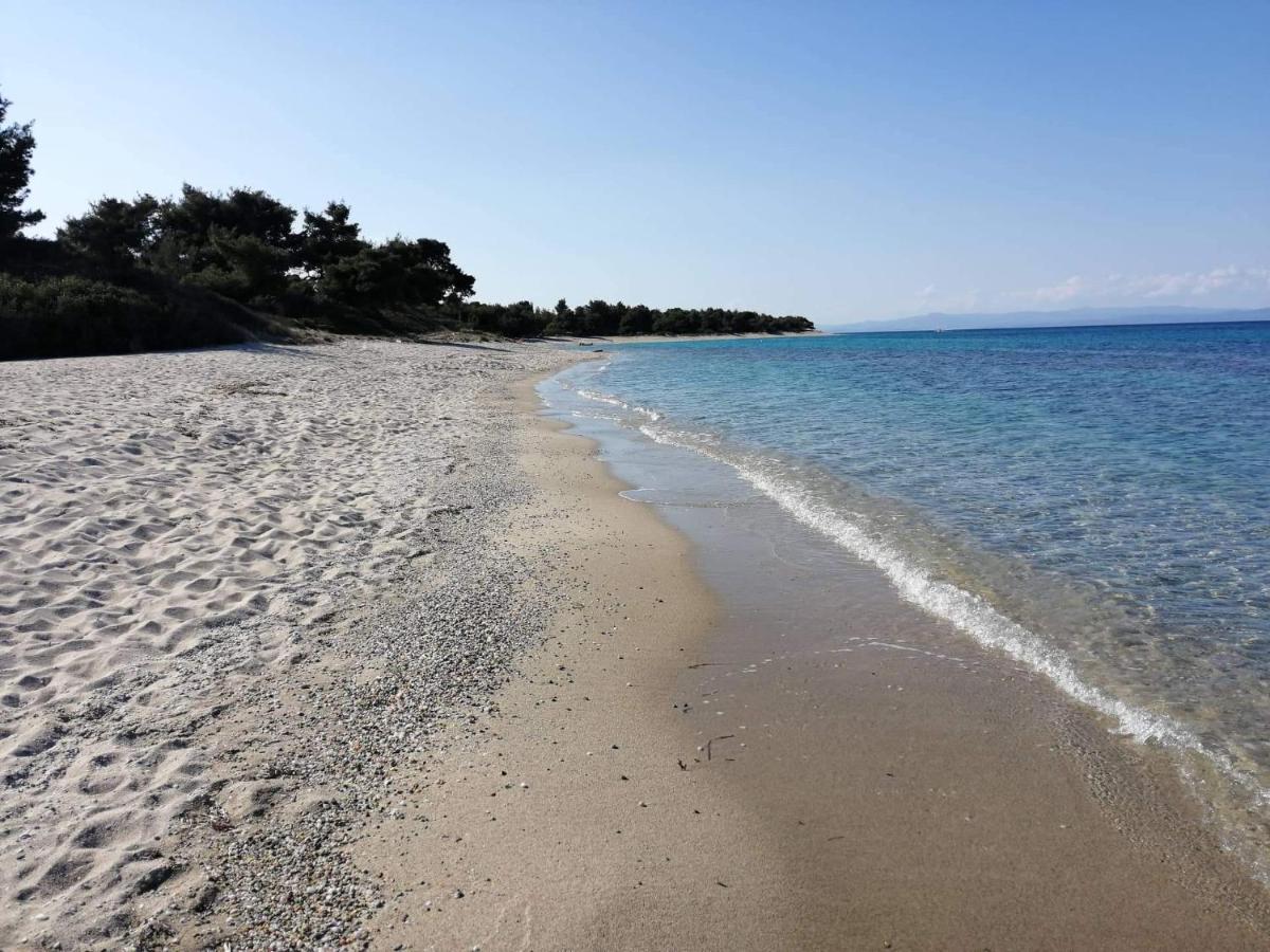 Seagull Villa Chalkidiki Пефкохори Екстериор снимка