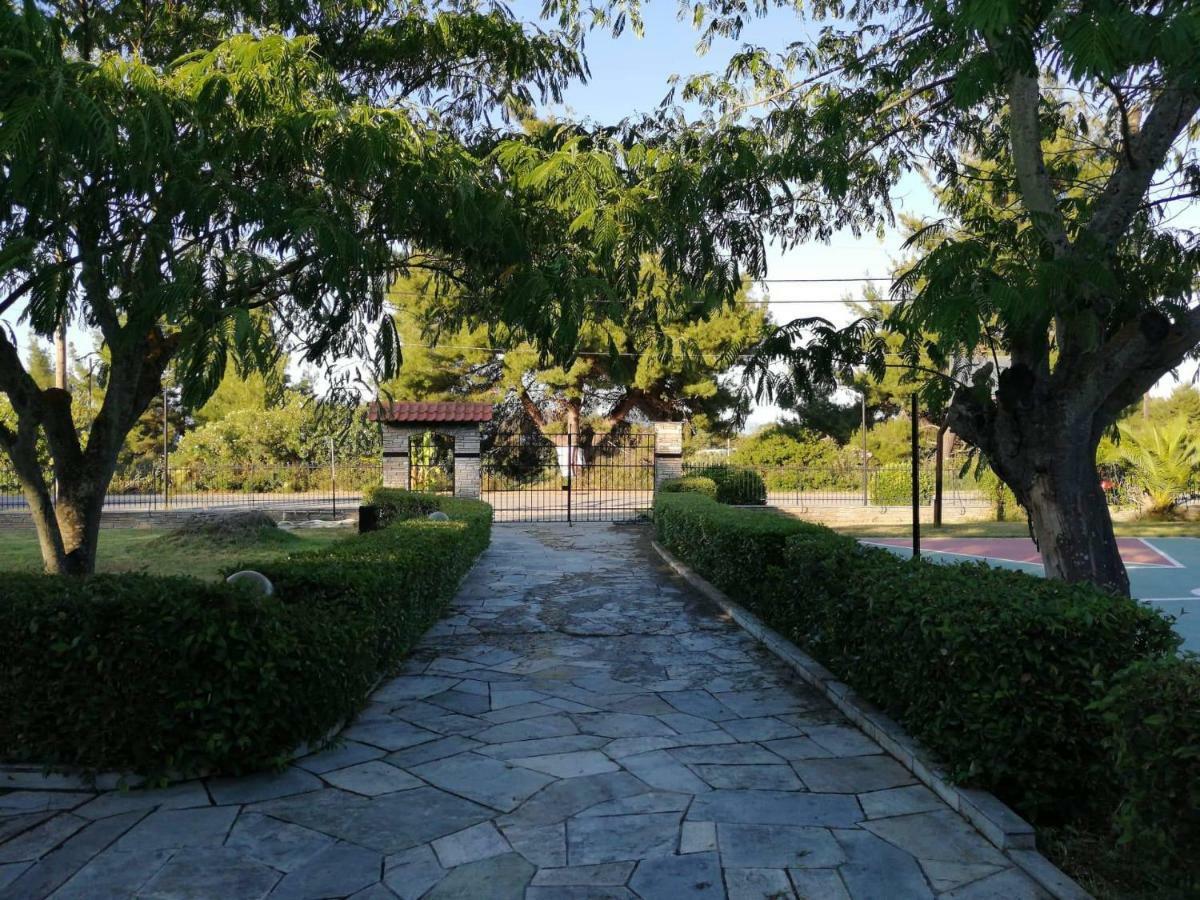 Seagull Villa Chalkidiki Пефкохори Екстериор снимка